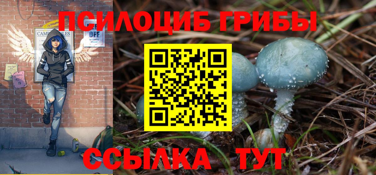 Галлюциногенные грибы мицелий Елец