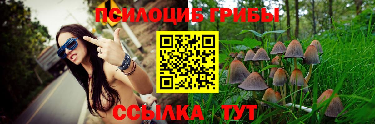 Елец  Псилоцибиновые грибы мухоморы  Вход с VPN 